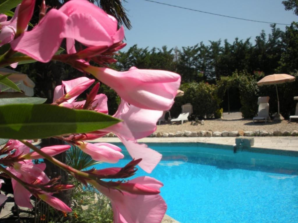 Gites Climatises Piscine Chauffee La Balancelle Saint-Rémy-de-Provence Exterior foto